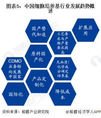 新澳门资料大全正版资料2024年免费下载,经济性执行方案剖析_工具版0.418