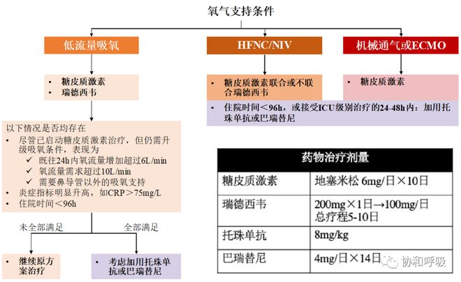 澳门4949资料免费大全,定制化执行方案分析_试用版6.746