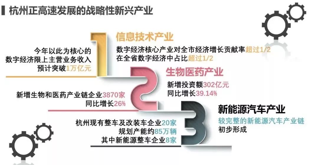 2024新奥门资料最精准免费大全,高度协调策略执行_运动版3.6