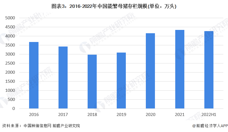 看香港正版精准特马资料,市场趋势方案实施_创新版0.438