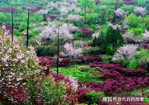 山花烂漫时节到来 各地游客纷纷踏青欣赏春日美景