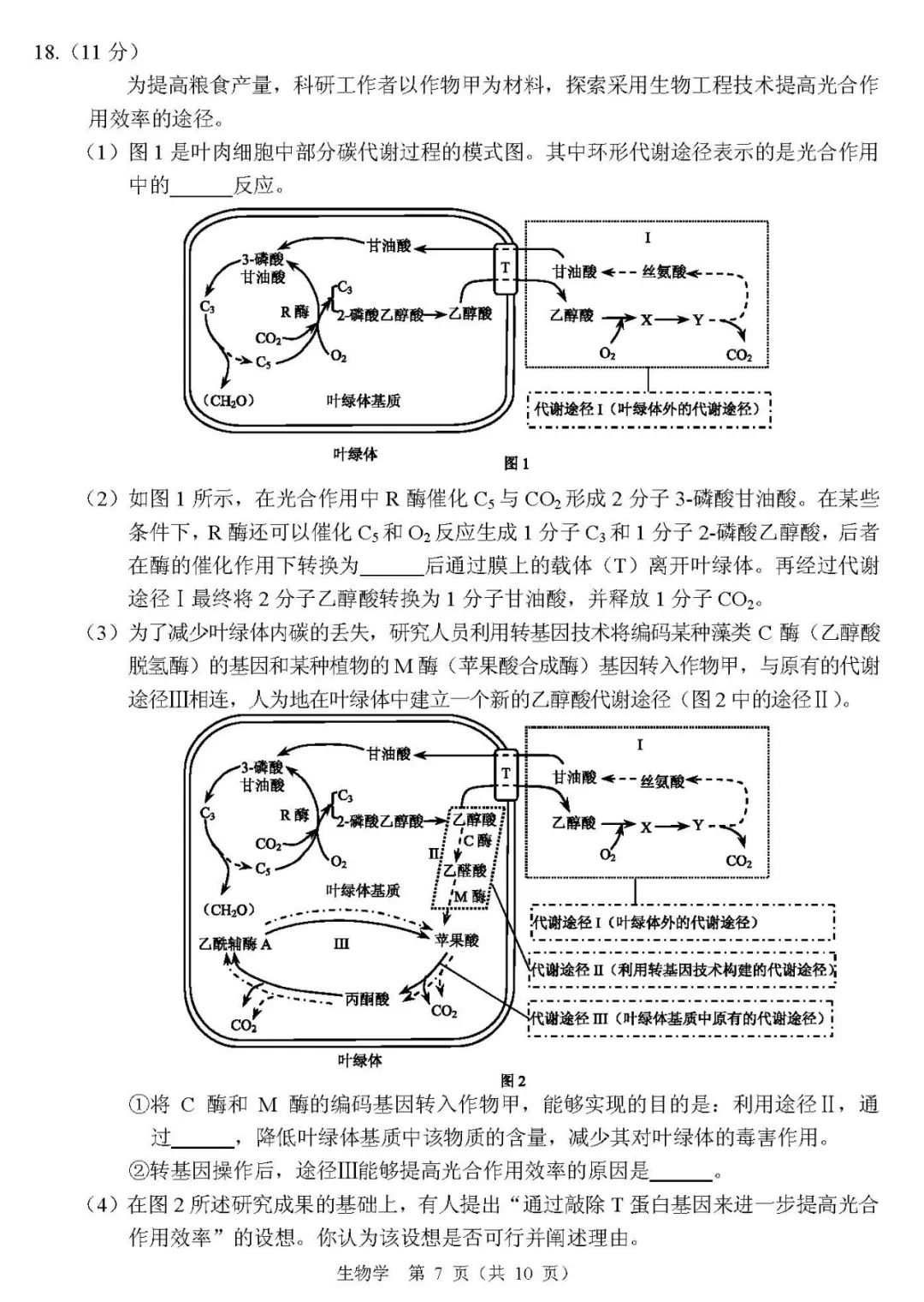 澳门码今天的资料,环境适应性策略应用_交互版7.18