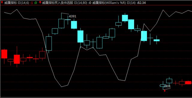 新澳精准资料免费提供网,系统化推进策略研讨_运动版5.445