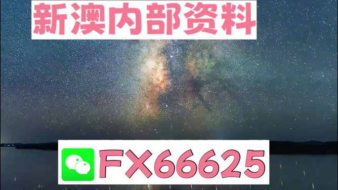 2024新澳天天资料免费大全,详实解答解释落实_入门版31.387