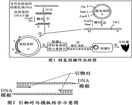 新澳2024正版资料免费大全,性状解答解释落实_Gold75.535