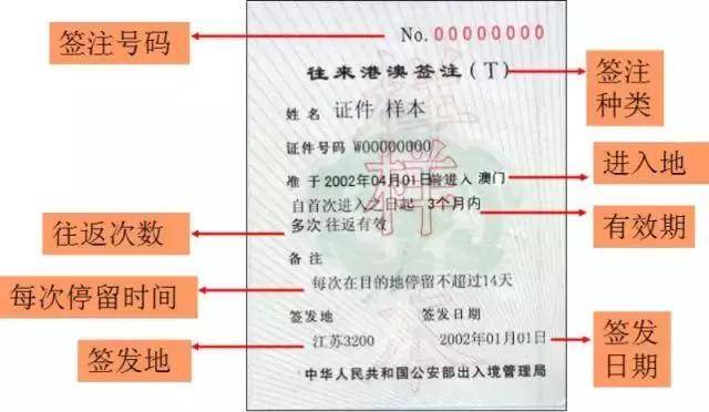 澳门三肖三码精准100%,质性解答解释落实_pro50.407