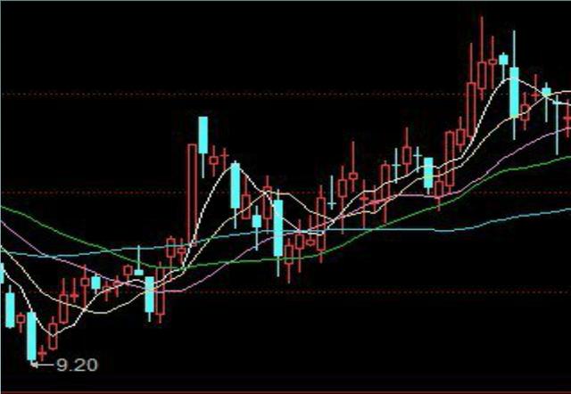 2024澳门天天开好彩精准24码,量度解答解释落实_Holo24.255