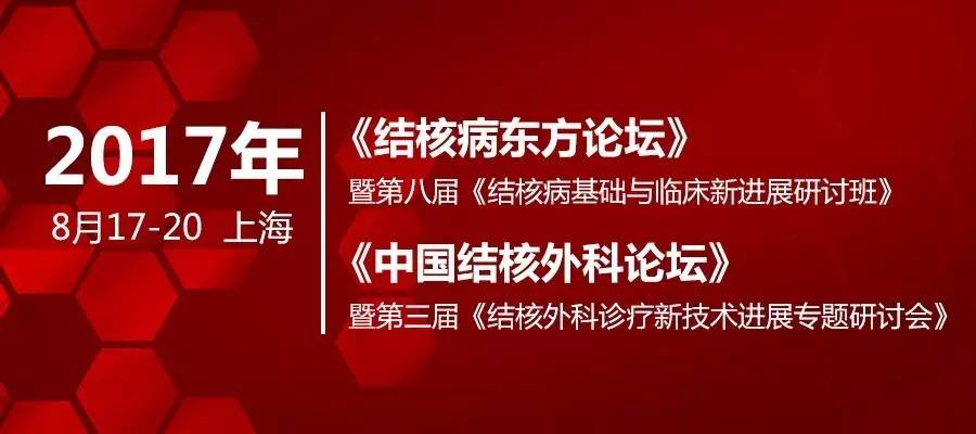 新澳门今晚精准一肖,前沿解答解释落实_潮流版75.06