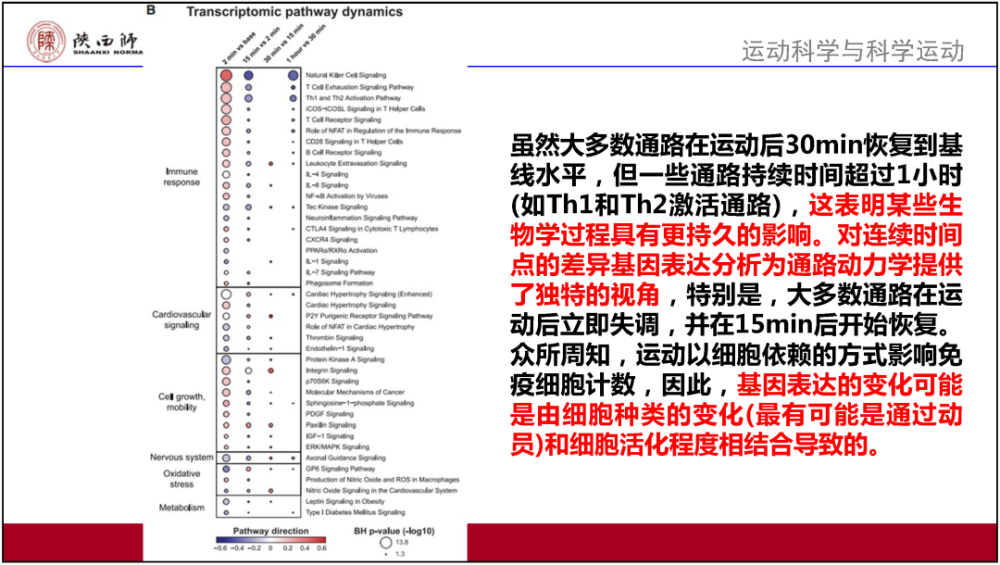 澳门内部正版资料大全,职能解答解释落实_ChromeOS29.824