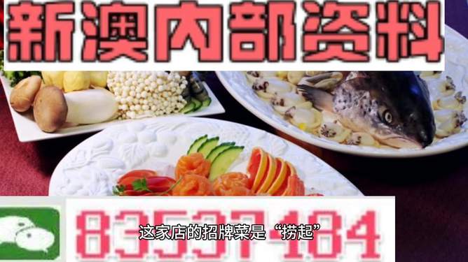 2024年免费下载新澳内部资料精准大全,可靠解答解释落实_豪华款62.115