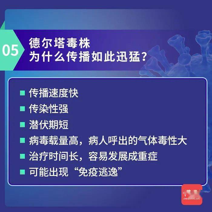 新澳今天最新资料晚上出冷汗,效率解答解释落实_优选版18.975