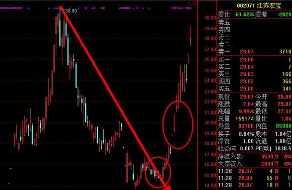 2024澳门天天开好彩精准24码,量度解答解释落实_Holo24.255