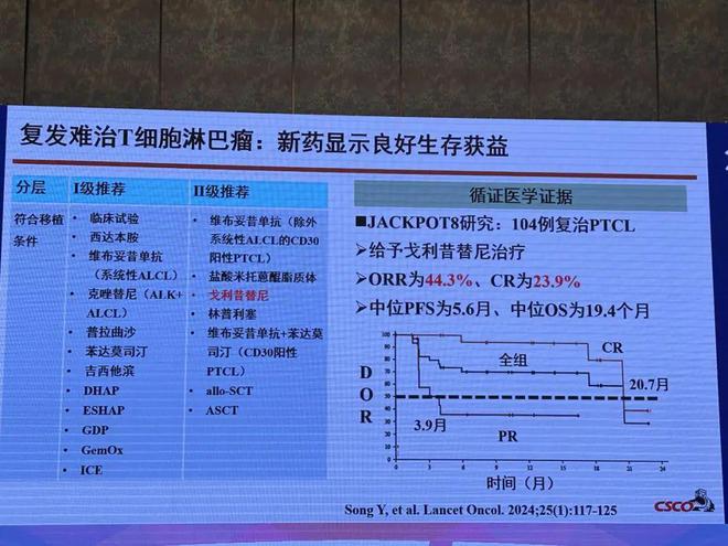 正版综合资料一资料大全,综合解答解释落实_T12.433