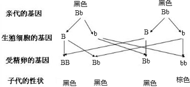 香港2024最准马资料免费,性状解答解释落实_HDR版74.573