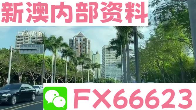 新澳最精准的资料,全景解答解释落实_特别款47.811