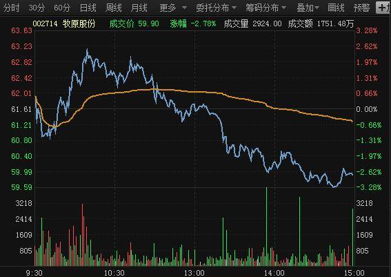 龙生股份股票最新动态全面解析