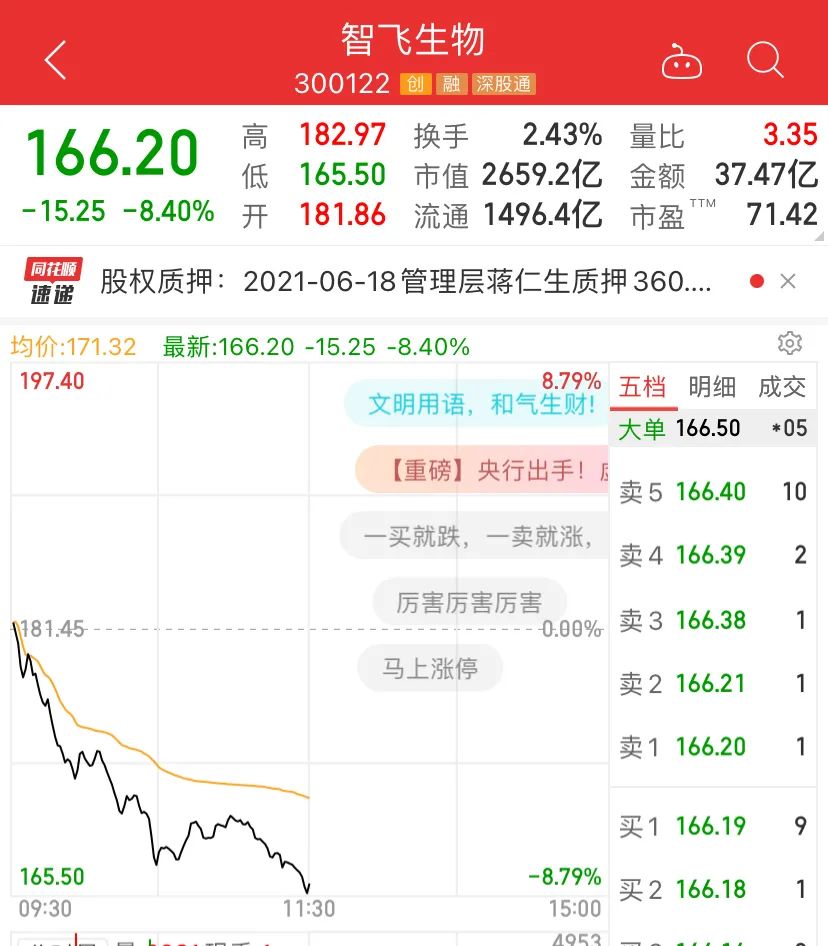 2025年1月13日 第3页