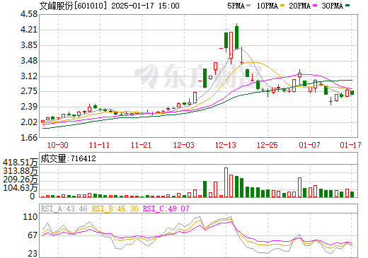 文峰股份股票最新消息全面解析与动态速递