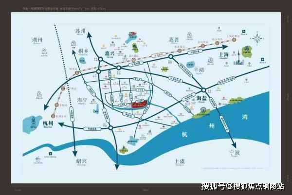 飞虹公棚最新消息全面解析与动态更新