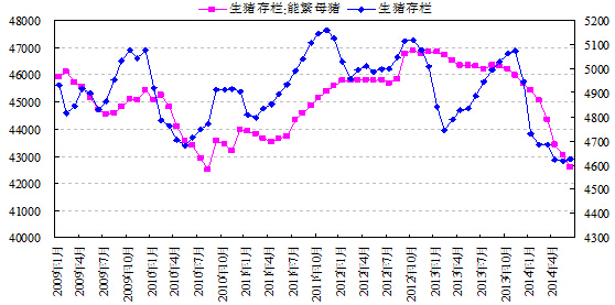 临储玉米最新消息，市场动态、前景展望与今日最新情报速递