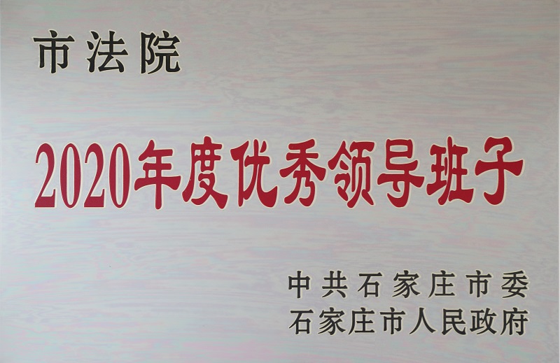 石家庄市领导班子的最新动态及未来展望。