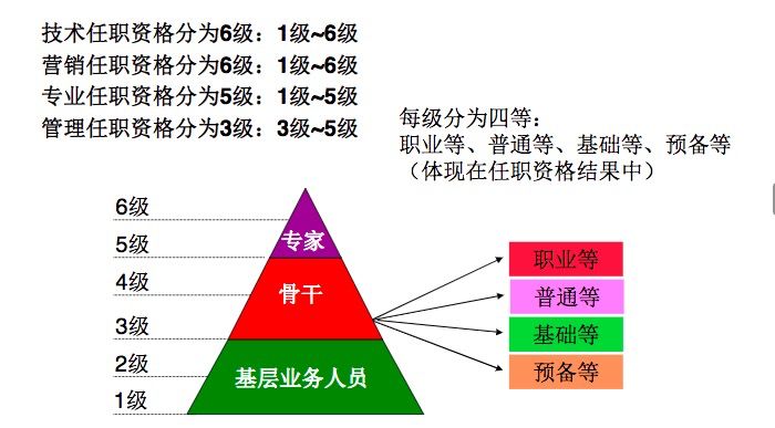 基层特定岗位最新动态，发展趋势、应对策略及最新消息速递